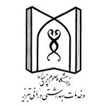 Brand Logo 13